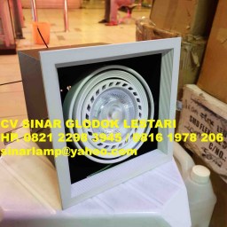 Lampu Downlight LED PAR30 40 Watt